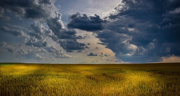 BMO launches loan program to help young farmers