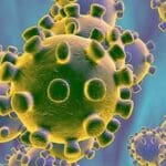 coronavirus
