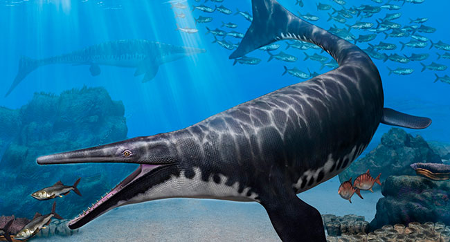 Paleontologists identify new species of mosasaur