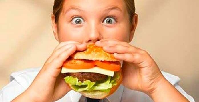Hamburger Weaponizing science to justify protein choices a dangerous game