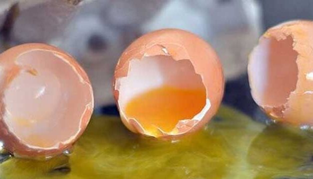 Politicians are long on promises but short on delivery