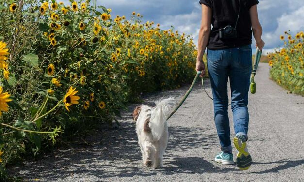 Anxiety is crippling us and real connection is the only cure