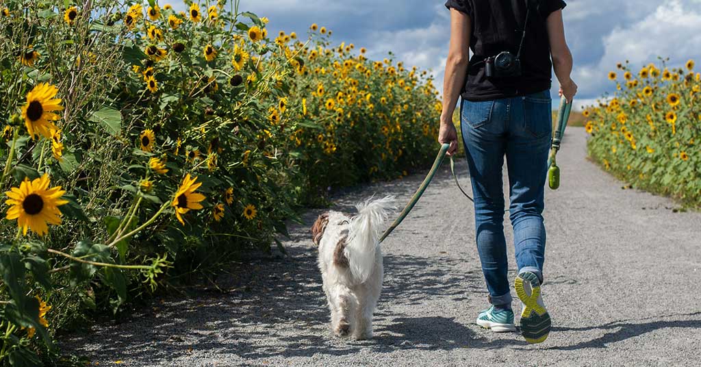 Anxiety is crippling us and real connection is the only cure