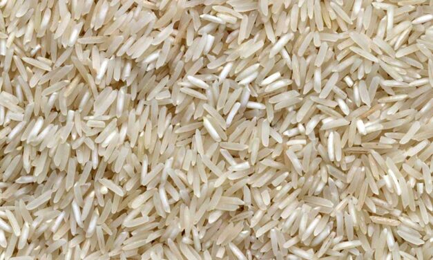 Rice taking a bigger bite out of grocery budgets